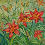 Daylilies