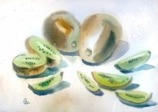 Still Life with Kiwi Watercolor