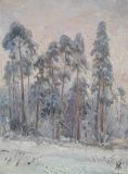 Izmailovsky forest. Winter