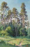 Pinos en el bosque Izmailovsky