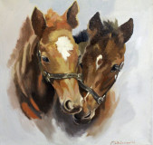 horses