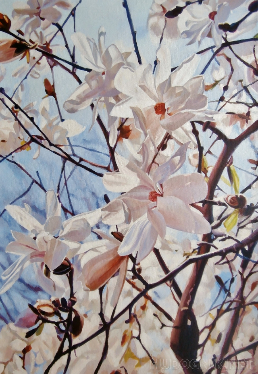 Pintura Una magnolia. Tamaño: 50x70, Año: 2015, Precio: 1262 euro Maestro  del arte SCHurov Oleg
