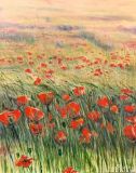 Poppies and grasshoppers