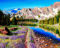 mountain lavender