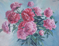 Peonia