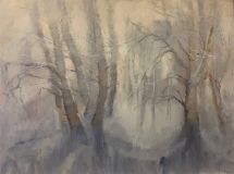Niebla en el bosque de invierno