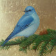 "Голубая птица"