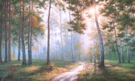 Sunny forest