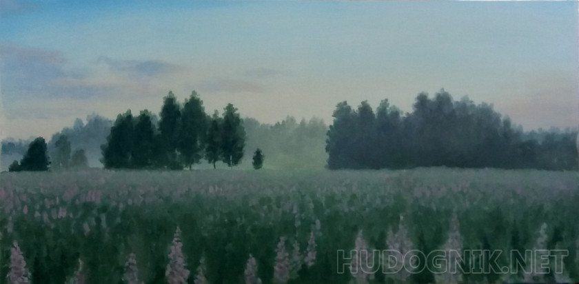 Lupines at dawn