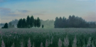 Lupines at dawn