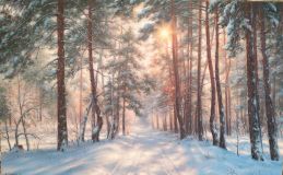 In winter in the forest