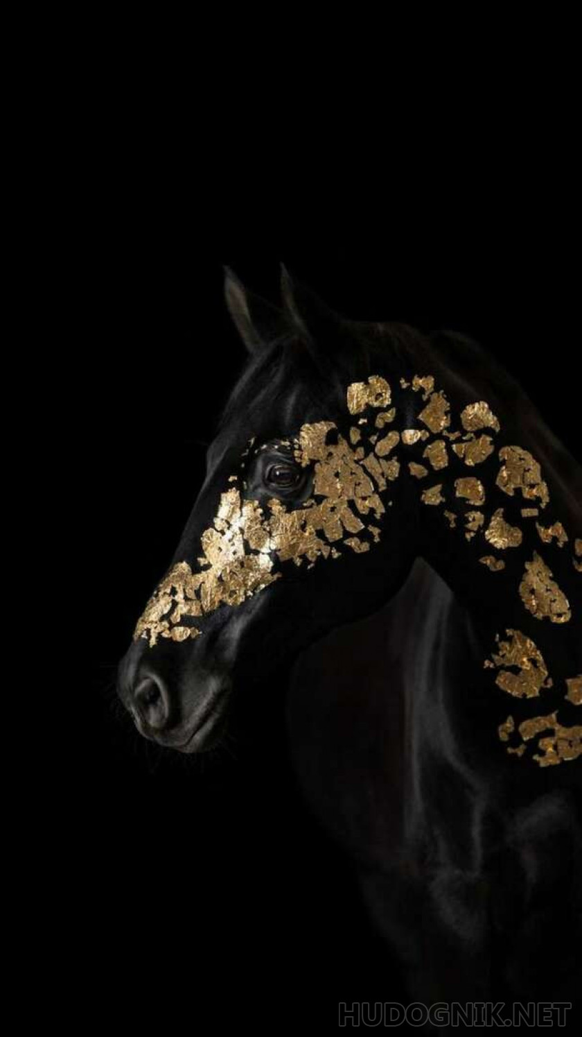 Лошадь в золоте