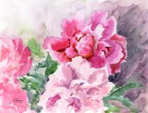 Vibrations of Life. Peonies