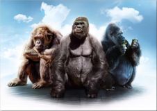 Три гориллы