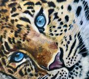 Leopardo con ojos azules