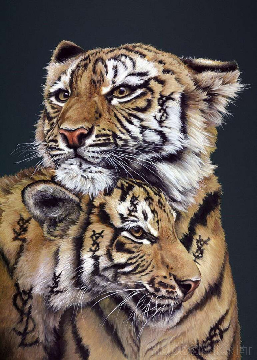 Два тигра
