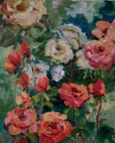 roses in garden