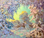 In the snow fringe