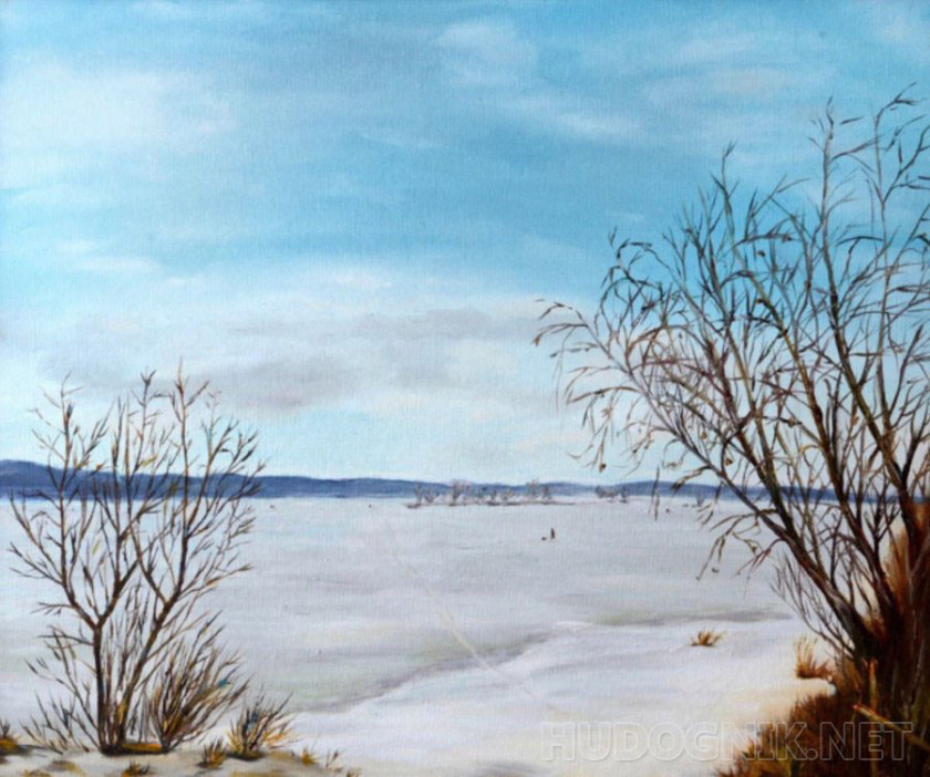 Зимнее поле 2, 2011