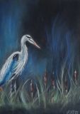 heron in the reeds