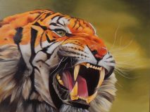 Агрессивный тигр