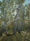 Afternoon in a birch grove