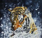 Tigre en el agua