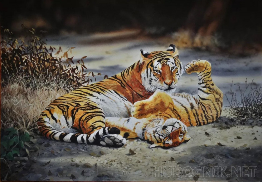 Королевский бенгальский тигр и детеныш
