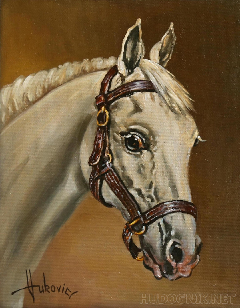 Белая лошадь - портрет