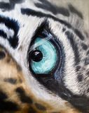 Leopard's Eye