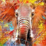 Elefante brillante