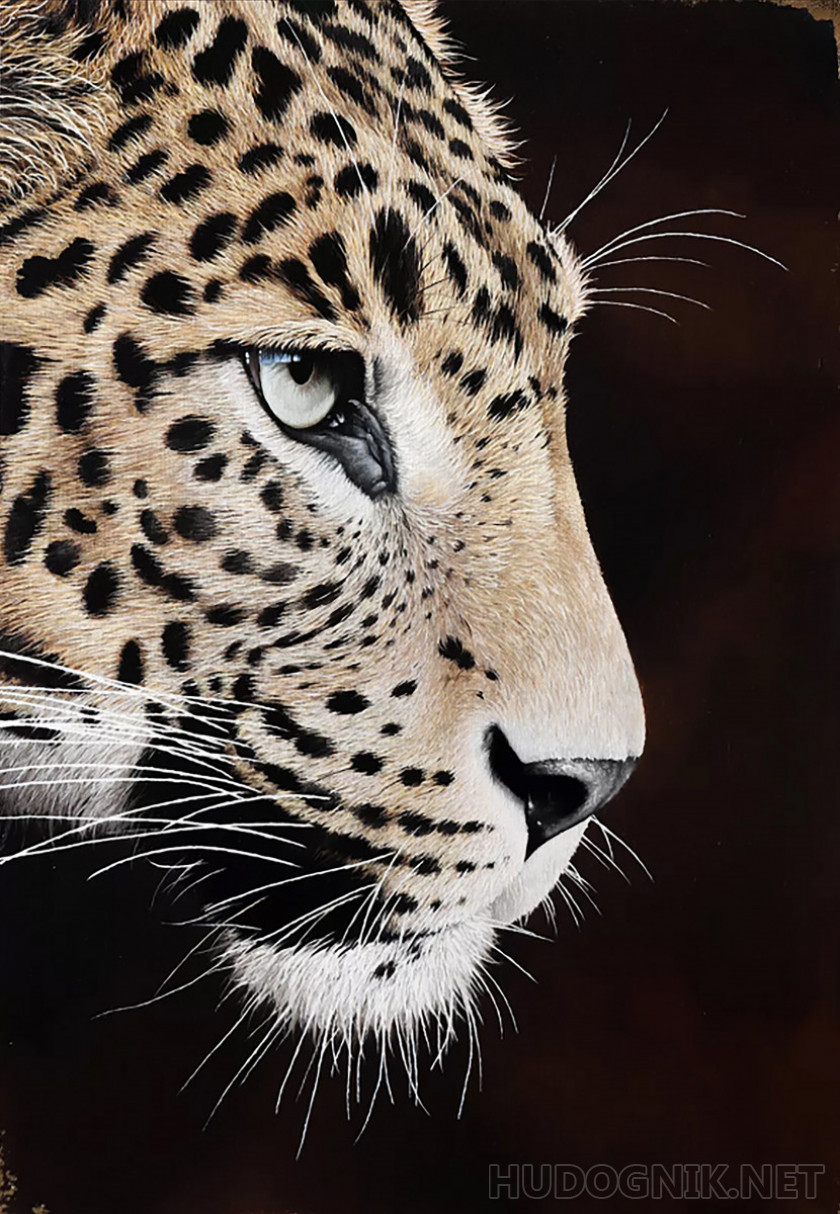 Леопард в профиль