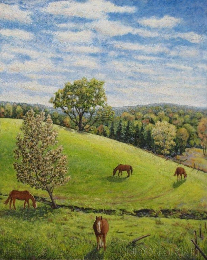 Horses in the field