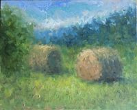 Hay in the meadow