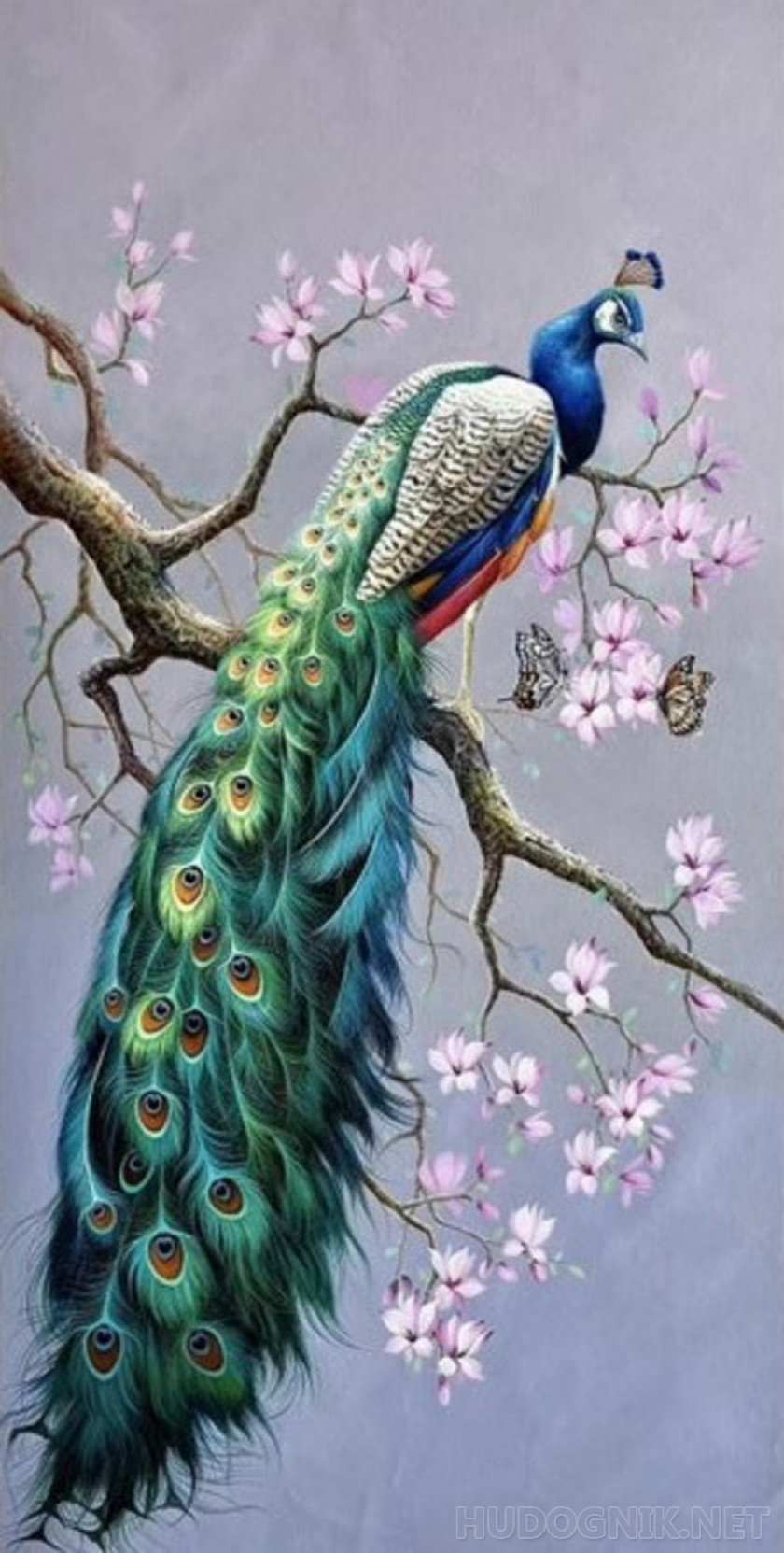 Peacock on a branch