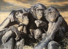 La familia de monos