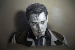 El Joven Elvis Presley