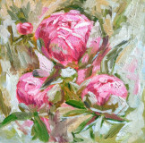 Pink peonies