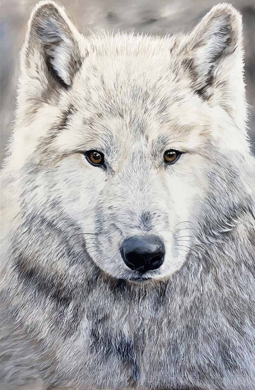 Белый волк - 138 фото