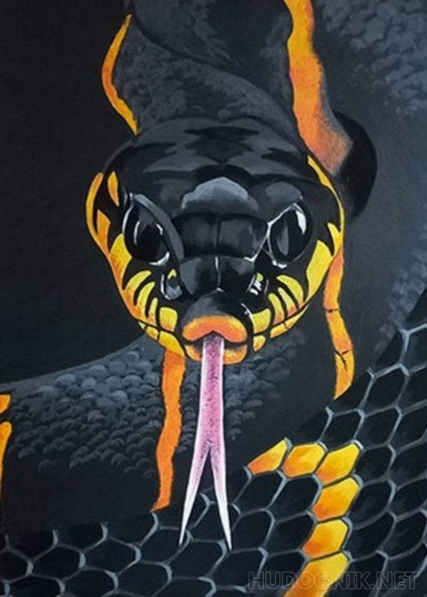 Картина по номерам Опасные питомцы: змея GX35254