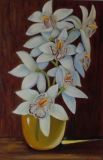 Орхидеи белые