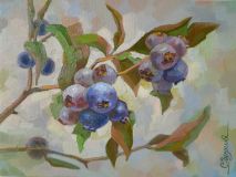 Blueberry branch