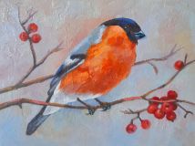 Bullfinch, a bird with red plumage