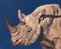 Retrato de un rinoceronte