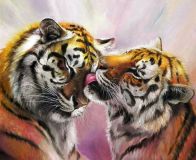 tiger tenderness