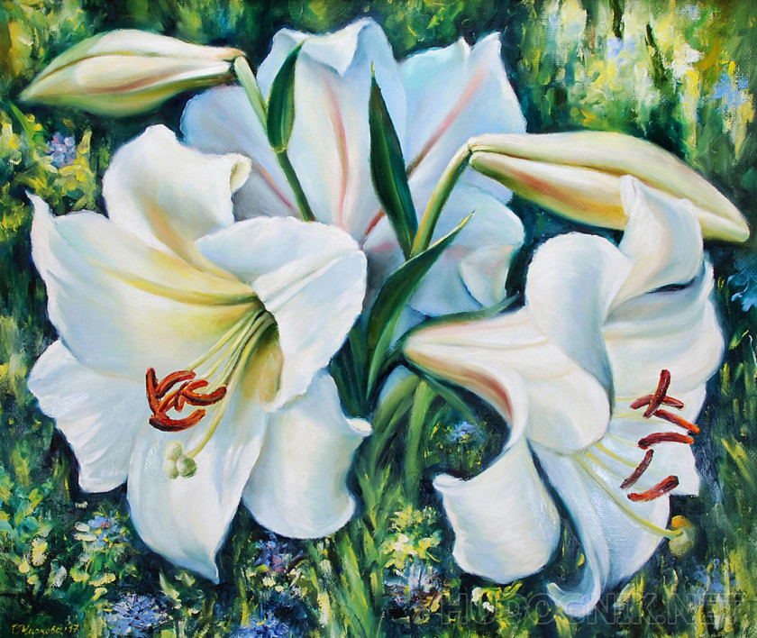 Pintura Azucena flores. Tamaño: 70x60, Año: 2017, Precio: 552 euro Maestro  del arte CHirkova Olga