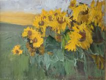 In the sunflower fields
