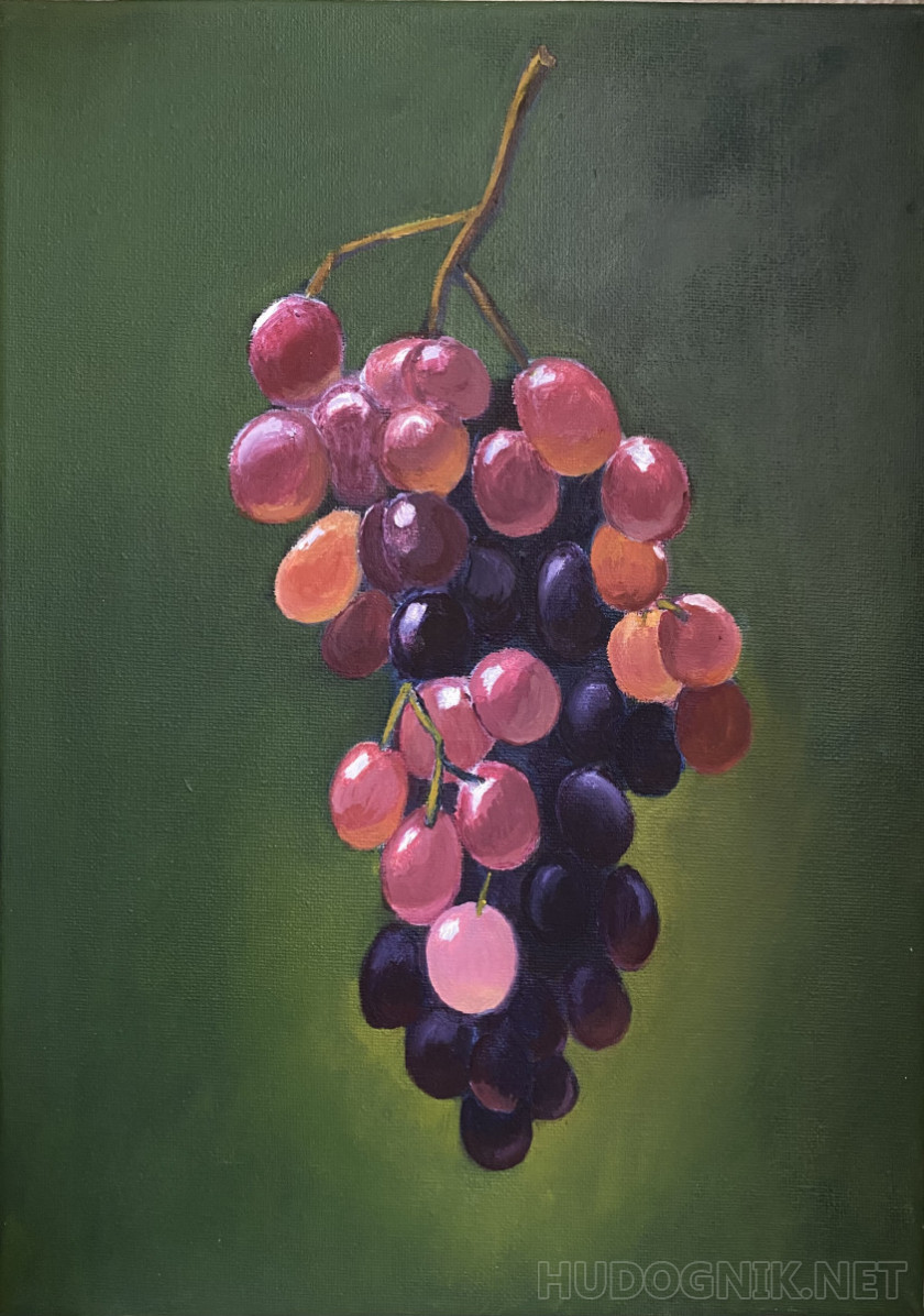 Гроздь винограда - Еда - Картинки PNG - Галерейка | Виноград, Фруктовое искусство, Натюрморт