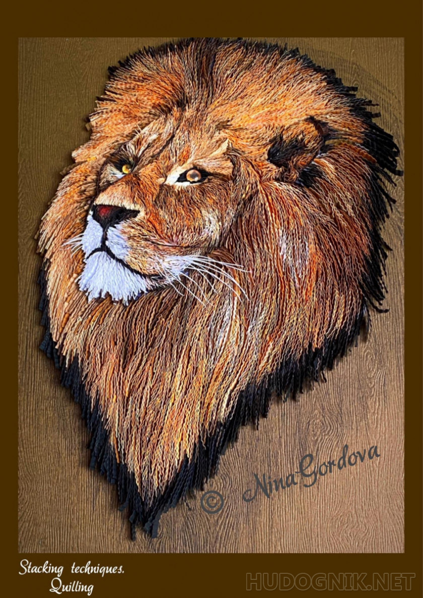 Lion. Portrait