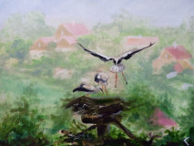 storks